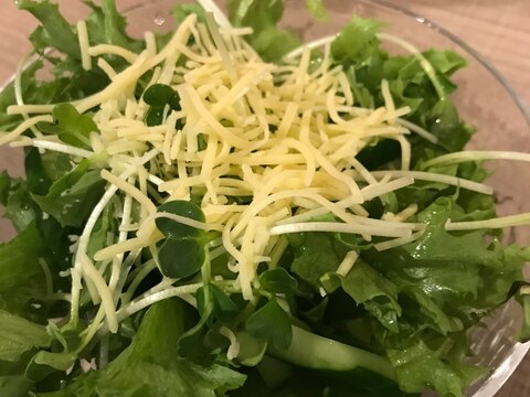 チーズをのせたグリーンサラダ